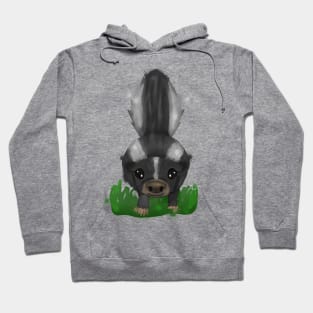 Skunk Hoodie